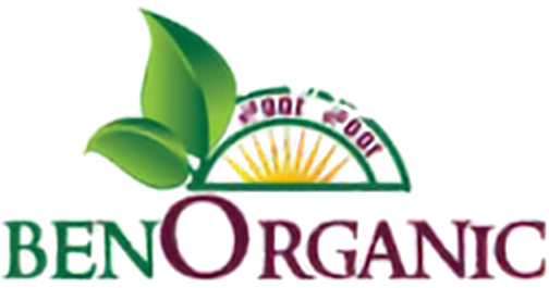 Benorganic