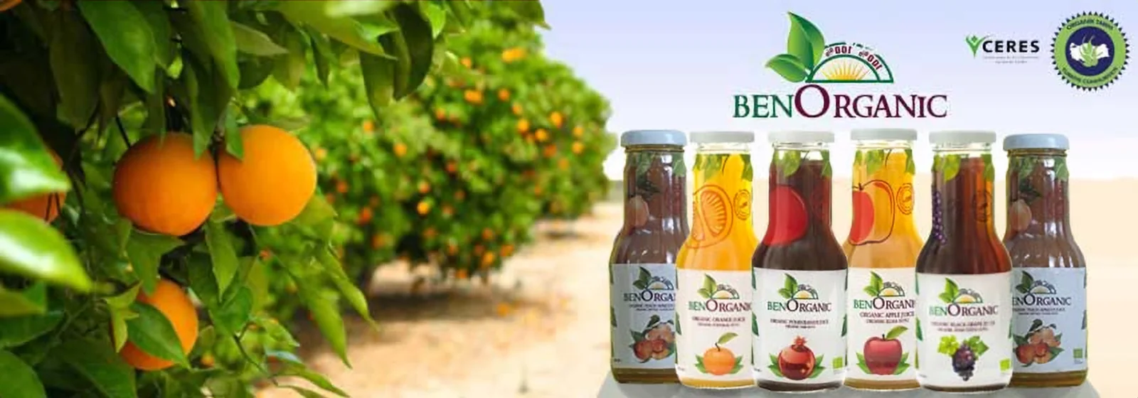 Benorganic ürünleri